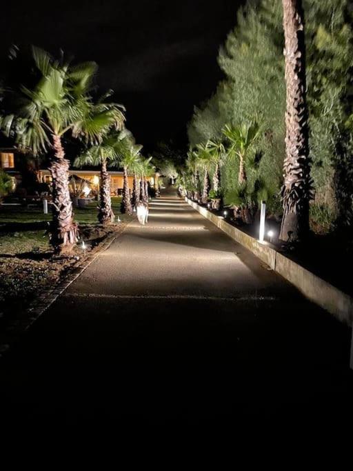 Grande St-tropez Area Avec Piscine Chauffee